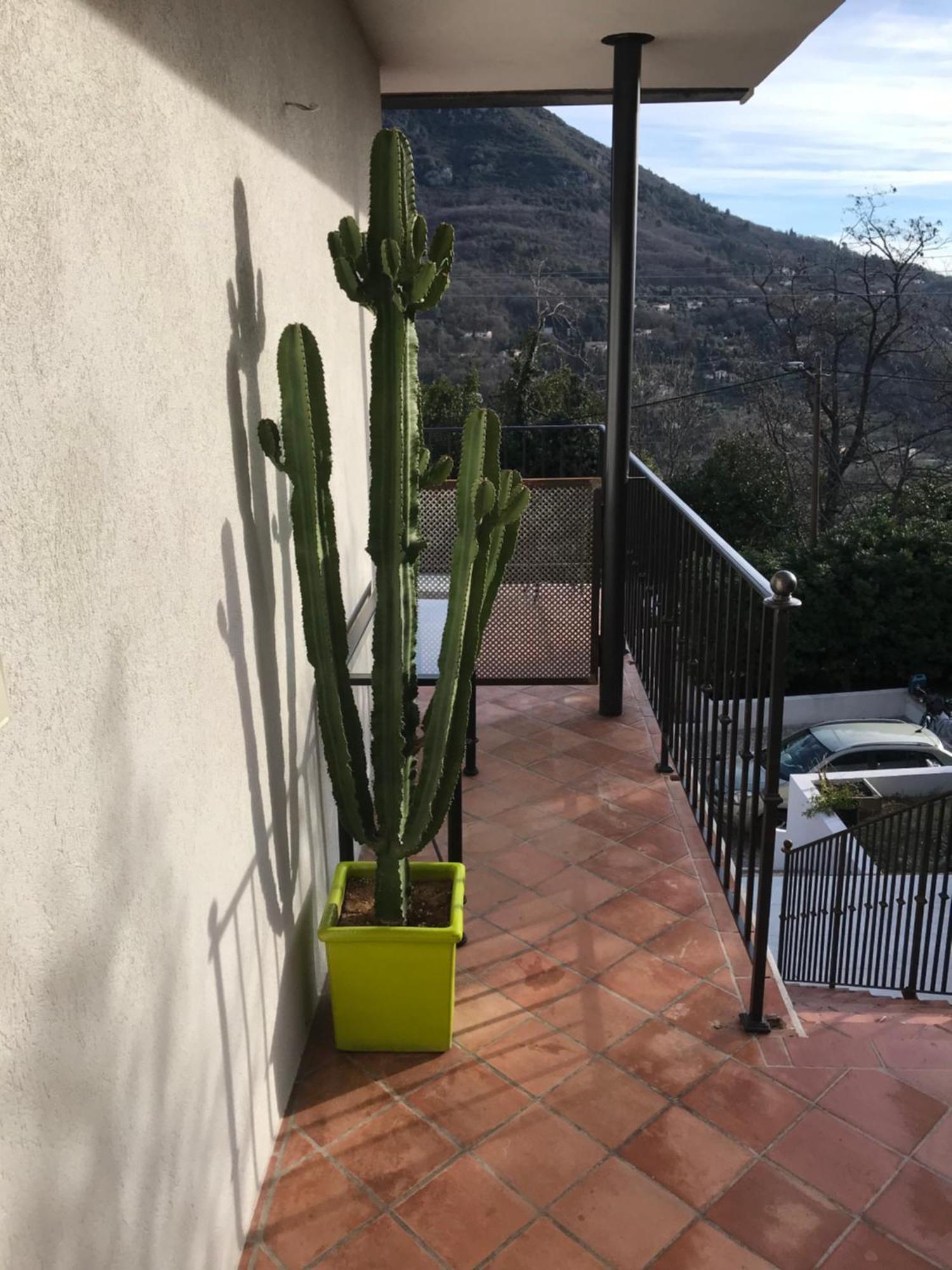 Haut De Villa Avec Vue - Le Bar Sur Loup 06 Eksteriør bilde