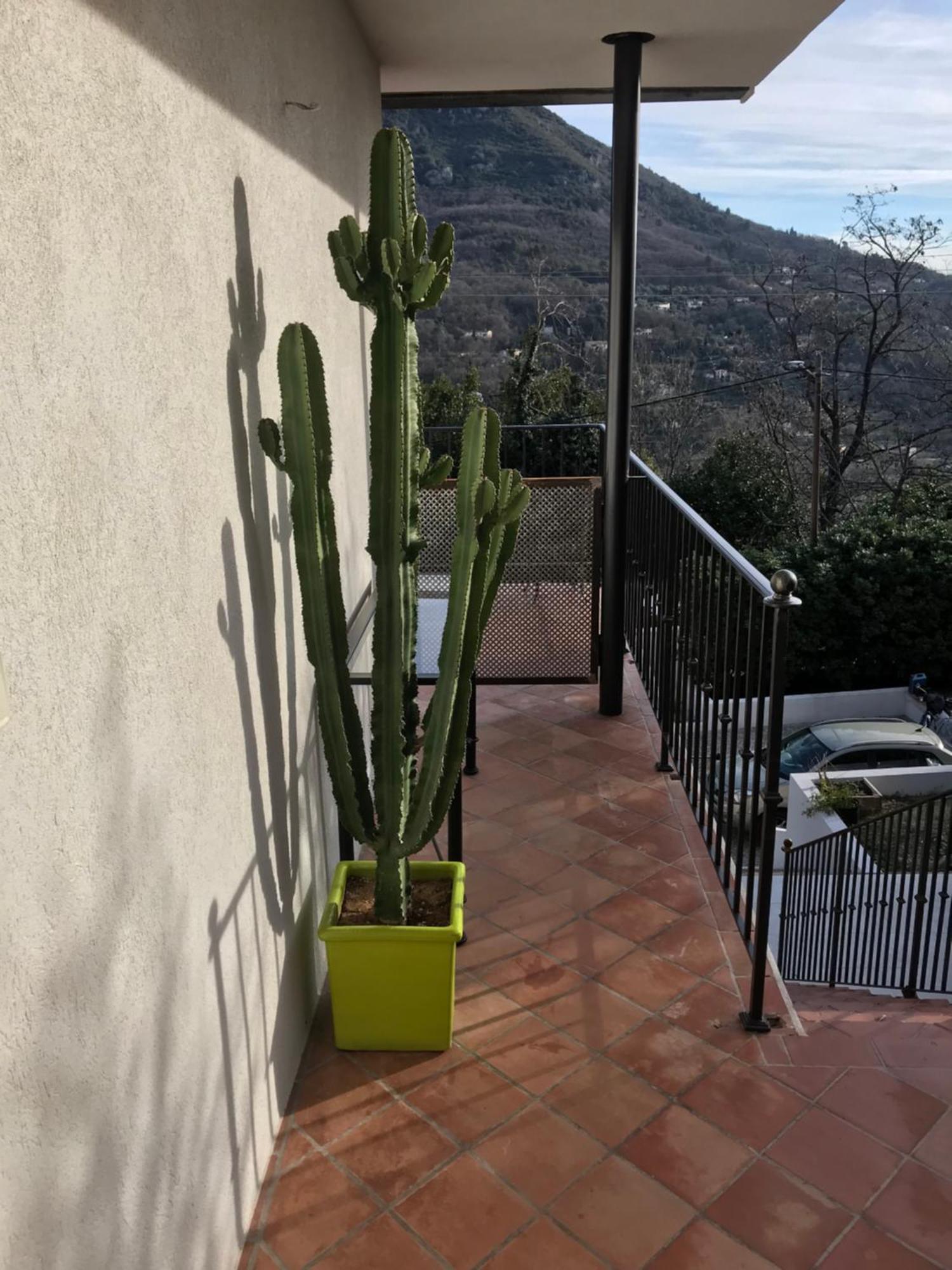 Haut De Villa Avec Vue - Le Bar Sur Loup 06 Eksteriør bilde